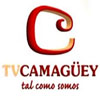 5dcabd9962ddc005c5d54296---TVCamaguey.jpg